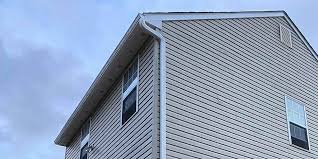 Historical Building Siding Restoration